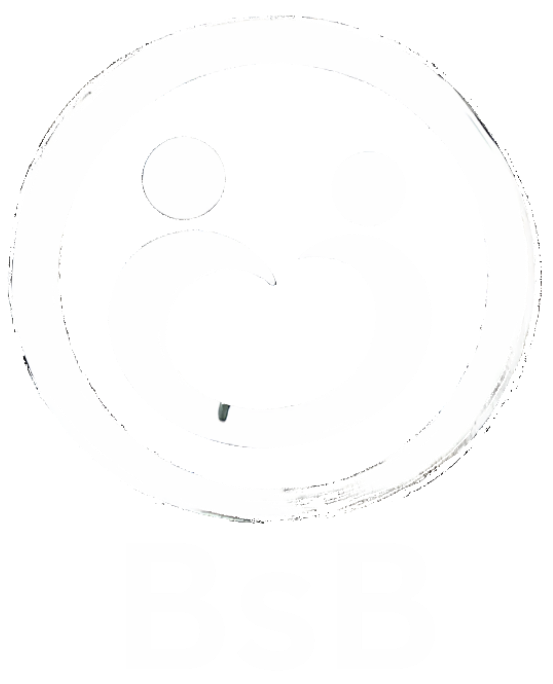 BsB - Beziehung schafft Bildung